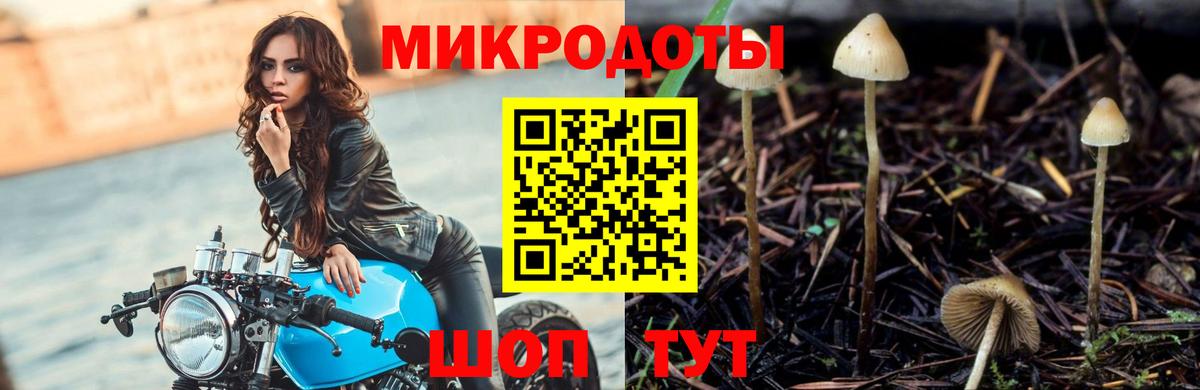 Псилоцибиновые грибы Magic Shrooms Обь