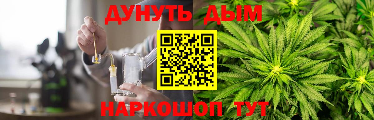 Каннабис планчик Обь